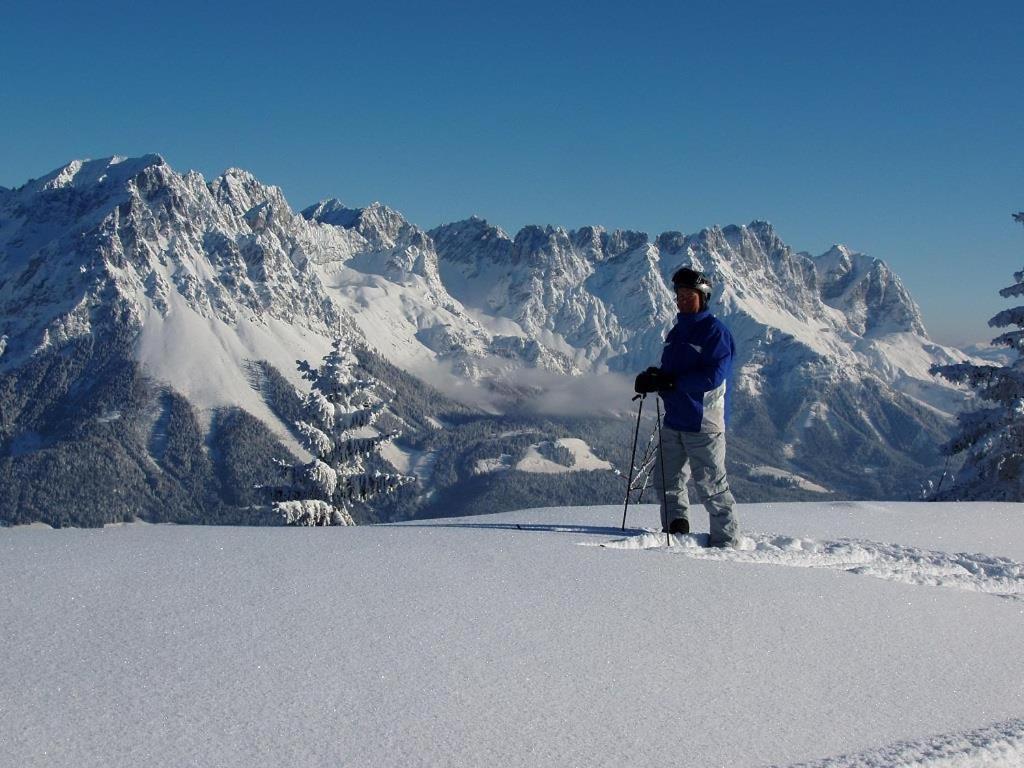 Ferienwohnungen Salvenmoser Johanna Scheffau am Wilden Kaiser Extérieur photo