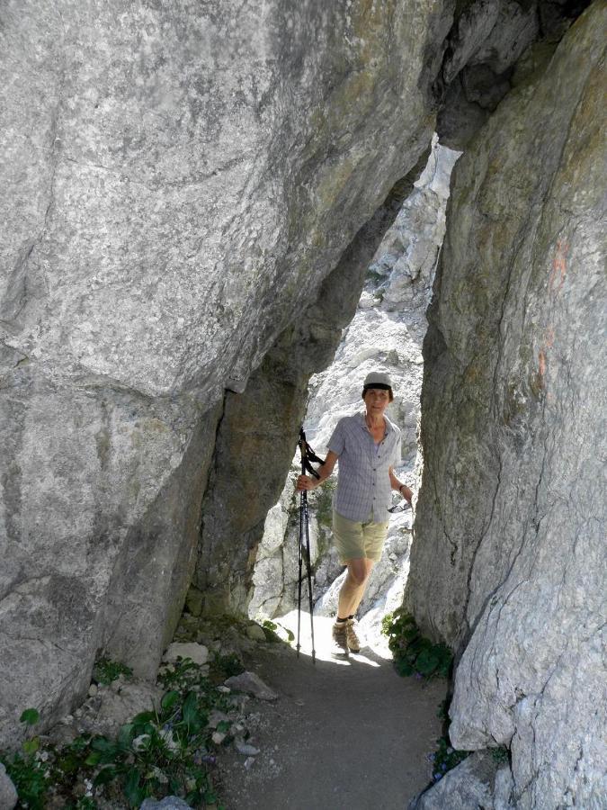 Ferienwohnungen Salvenmoser Johanna Scheffau am Wilden Kaiser Extérieur photo