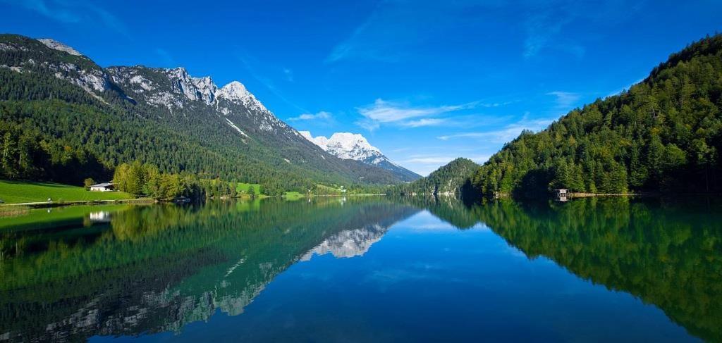 Ferienwohnungen Salvenmoser Johanna Scheffau am Wilden Kaiser Extérieur photo