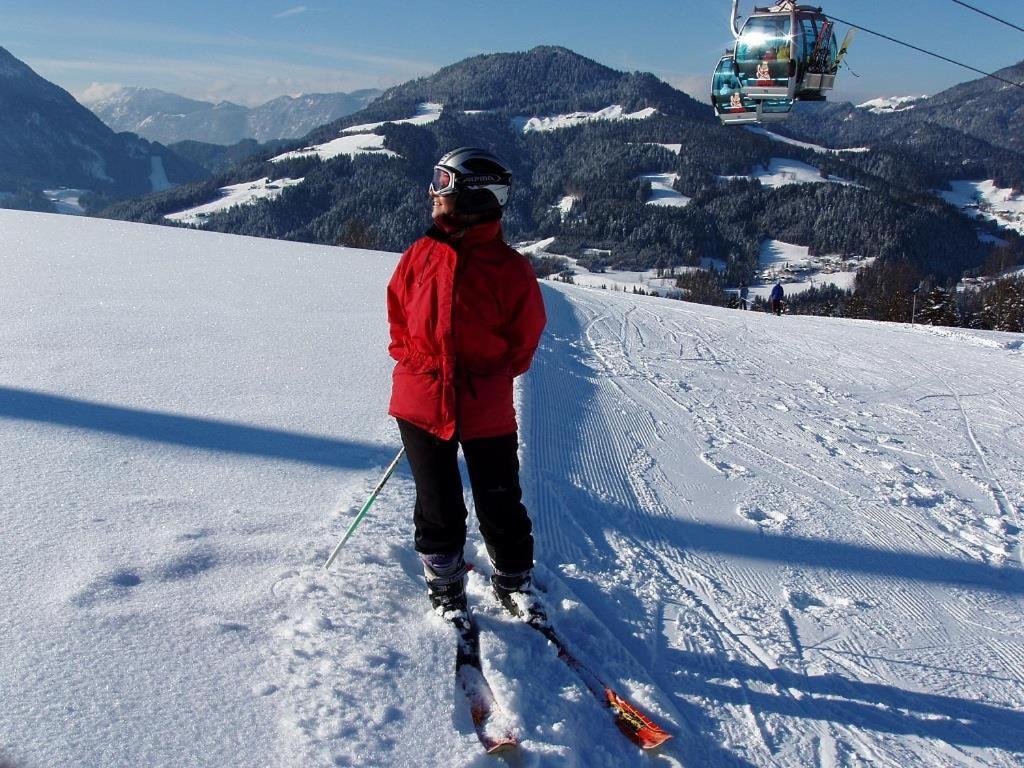 Ferienwohnungen Salvenmoser Johanna Scheffau am Wilden Kaiser Extérieur photo