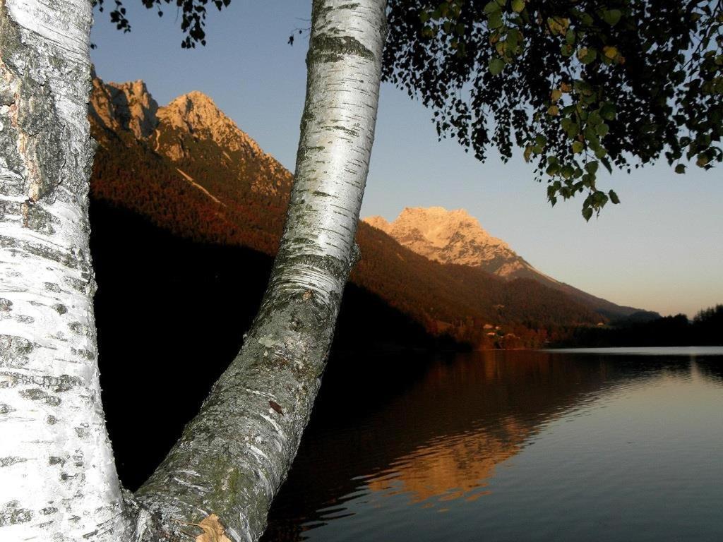 Ferienwohnungen Salvenmoser Johanna Scheffau am Wilden Kaiser Extérieur photo